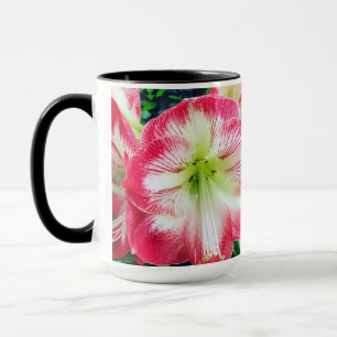 Amaryllis pinkfarbig, sanfte Blume Tasse
