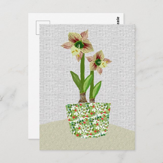 Amaryllis Postcard Postkarte (Vorne/Hinten)