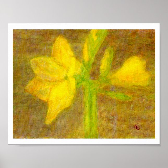 Amaryllis Poster (Vorne)