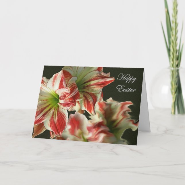 Amaryllis Reflection Happy Oaster Card Feiertagskarte (Vorderseite)
