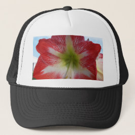 Amaryllis rot-weiß MegaStar Truckerkappe