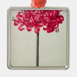 Amaryllis Sarniensis oder Narzisse Ornament Aus Metall