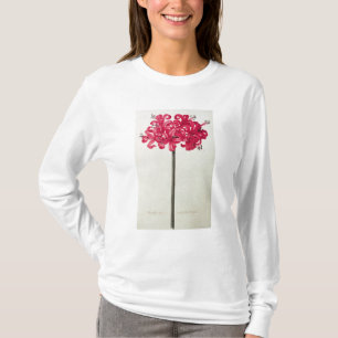 Amaryllis Sarniensis oder Narzisse T-Shirt