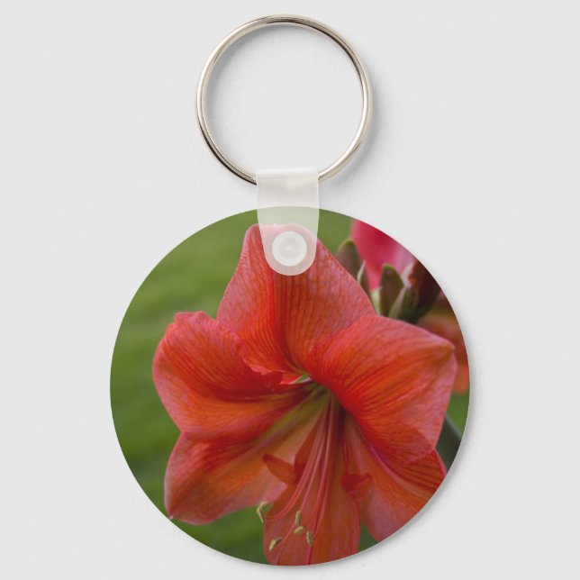 Amaryllis Schlüsselanhänger (Vorderseite)