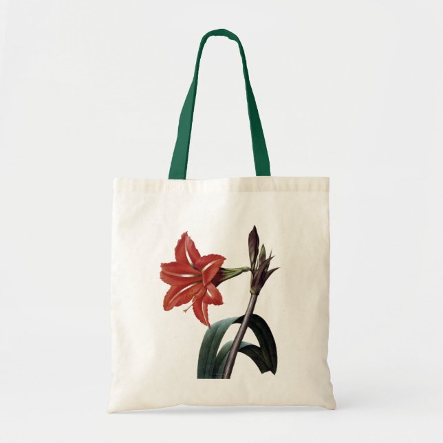 Amaryllis Striped Tragetasche (Vorne)