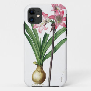 Amaryllis-Tollkirsche, von "Les Liliacees", engrav Case-Mate iPhone Hülle