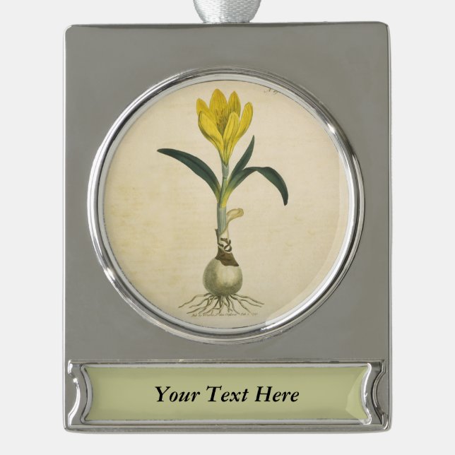 Amaryllis Tulip Botanischer Garten Blume Banner-Ornament Silber (Vorderseite)