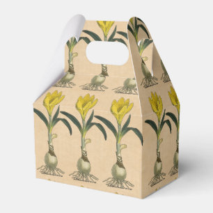 Amaryllis Tulip Botanischer Garten Blume Geschenkschachtel