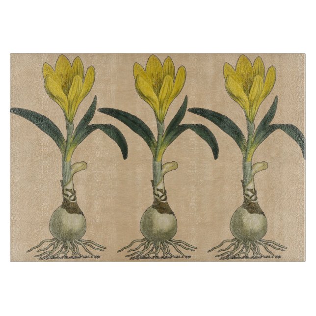 Amaryllis Tulip Botanischer Garten Blume Schneidebrett (Vorderseite)