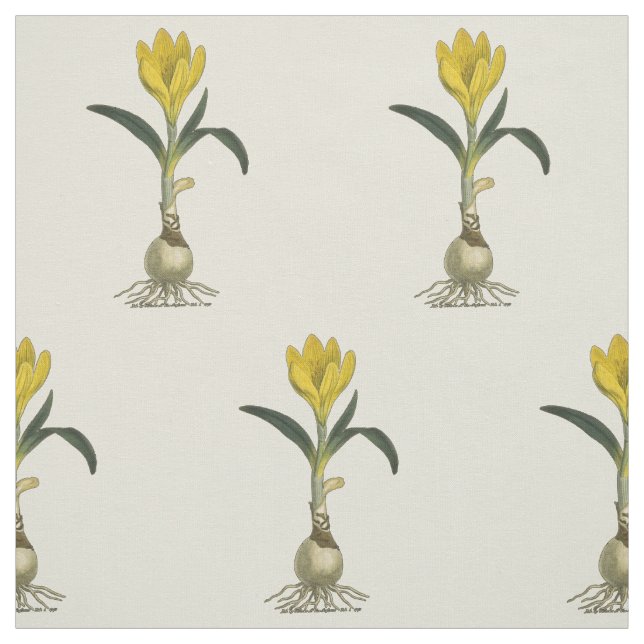 Amaryllis Tulip Botanischer Garten Blume Stoff (Muster)