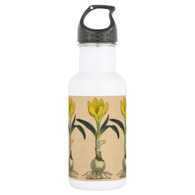 Amaryllis Tulip Botanischer Garten Blume Trinkflasche (Vorderseite)
