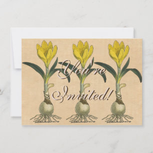 Amaryllis-Tulpe-Botanischer Garten-Blume Einladung