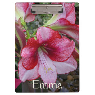 Amaryllis und Poinsettia Rote Blume Klemmbrett