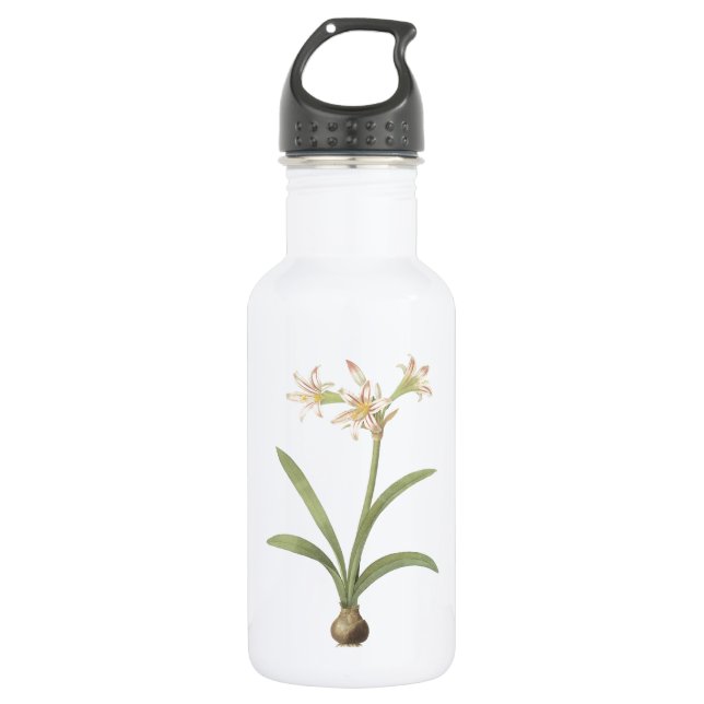 Amaryllis vittata (Amaryllis vittata) von Redouté Trinkflasche (Vorderseite)