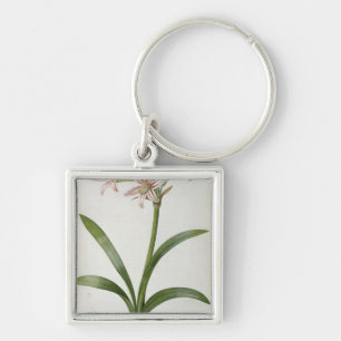 Amaryllis Vittata Schlüsselanhänger