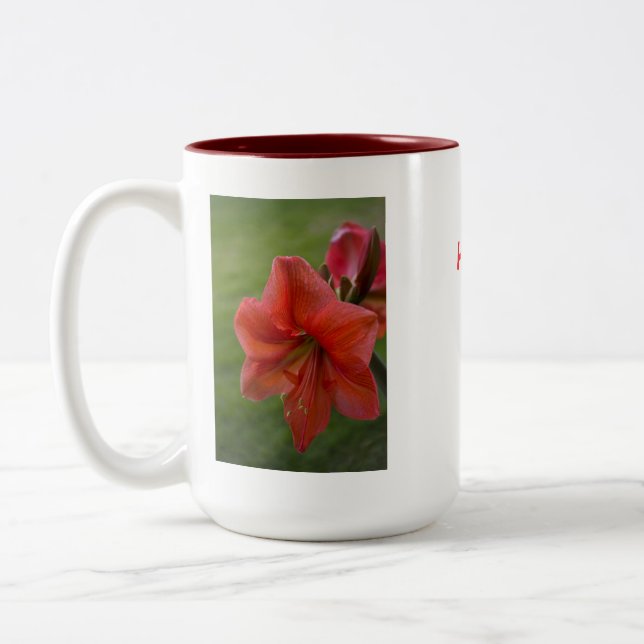 Amaryllis Zweifarbige Tasse (Links)