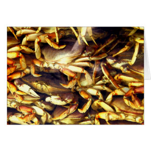 Amateur de crabe
