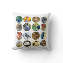 Amateurs d'oiseaux Coussin 16" x 16"