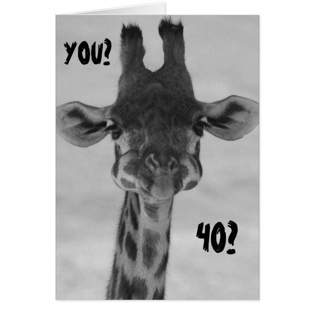 AMAZED GIRAFFE DIT "VOUS" "40 ?" (Devant)