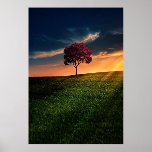 Amazing Landscape with a Red Tree at Sunset Poster (Vorne)