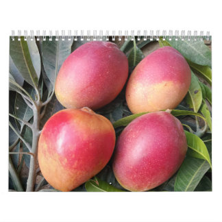 Amazing mango calendar 2023 kalender