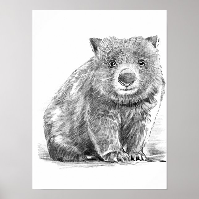 Amazing realistic wombat in pencil drawing style poster (Vorne)