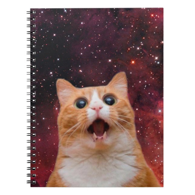 Amazing Space Cat Notizblock (Vorderseite)