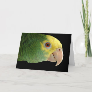 Amazon-Karte mit doppeltem Gelbord Karte