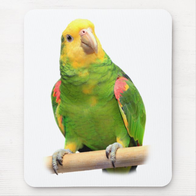 Amazon Mousepad (Vorne)