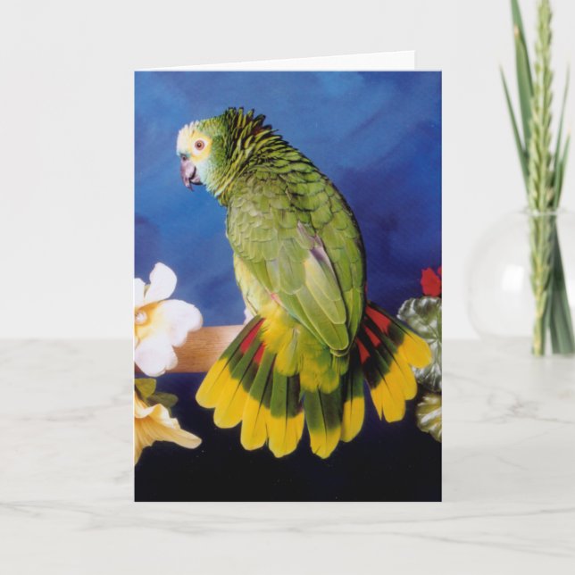 Amazon Parrot Grußkarte Karte (Vorderseite)
