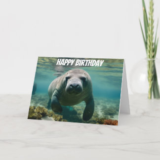 Amazonas Manatee schwimmen über dem Riff Amazonas Karte