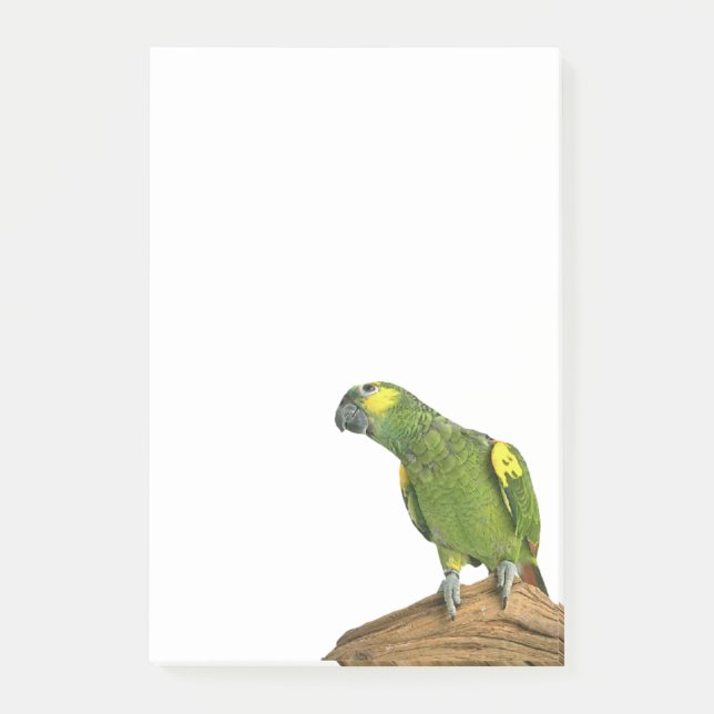 Amazonas Posten-it® merkt 4 x 6 Post-it Klebezettel (Vorderseite)