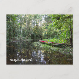 Amazonas-Regenwald-Postkarte Postkarte