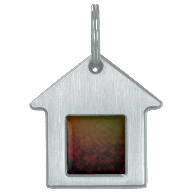 Amber Fade Tiermarke (Vorderseite)