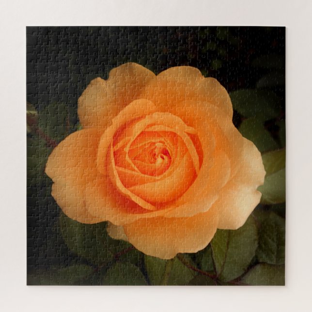 Amber Flush Rose Jigsaw Puzzle (Vertikal)