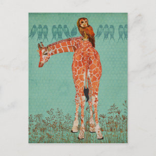 Amber Giraffe & Owl Feathers Postkarte