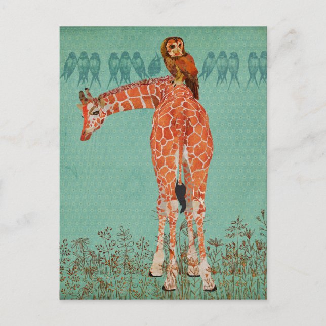 Amber Giraffe & Owl Feathers Postkarte (Vorderseite)