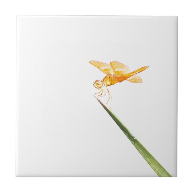 Amber-Libelle Fliese (Vorderseite)