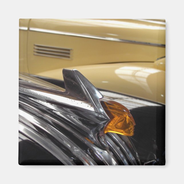 Amber Magnet (Vorne)