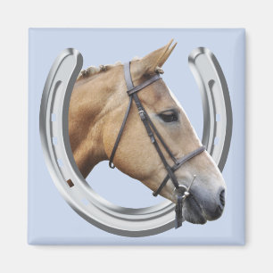 Amber-Pferd-Magnet Magnet