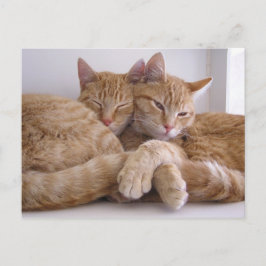 Amber & Topez Postkarte