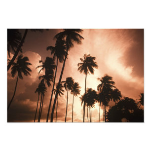 Ambergris Caye, Belize, Mittelamerika. 2 Fotodruck