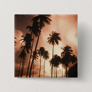 Ambergris Caye, Belize, Zentralamerika.2 Button