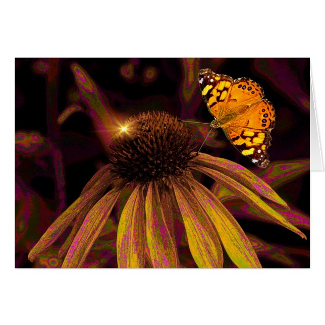 Ambre (Devant horizontal)