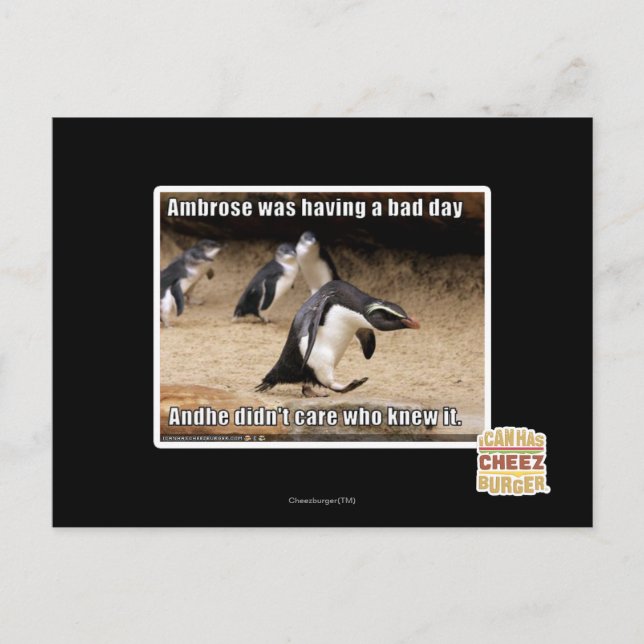 Ambrose hatte einen schlechten Tag Postkarte (Vorderseite)