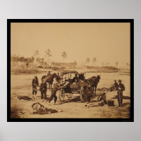 Ambulance Drill near Brandy Station, VA 1864