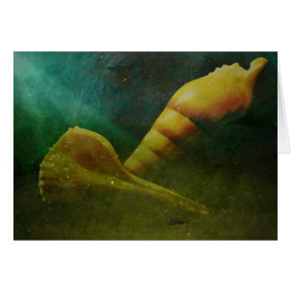 Âme cachée dessous