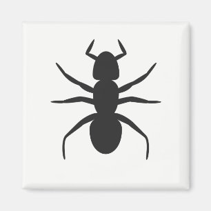Ameise Magnet