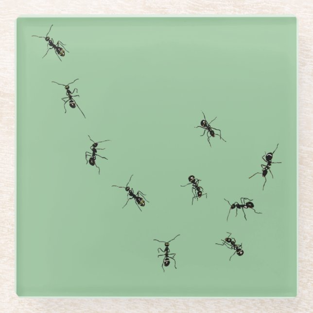 Ameisen Glasuntersetzer (Vorderseite)