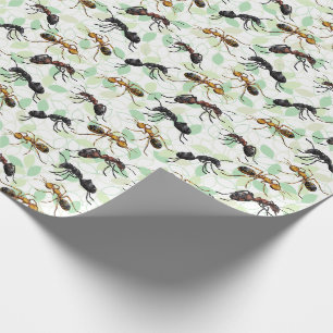 Ameisen Insekten Käfer Geschenkpapier